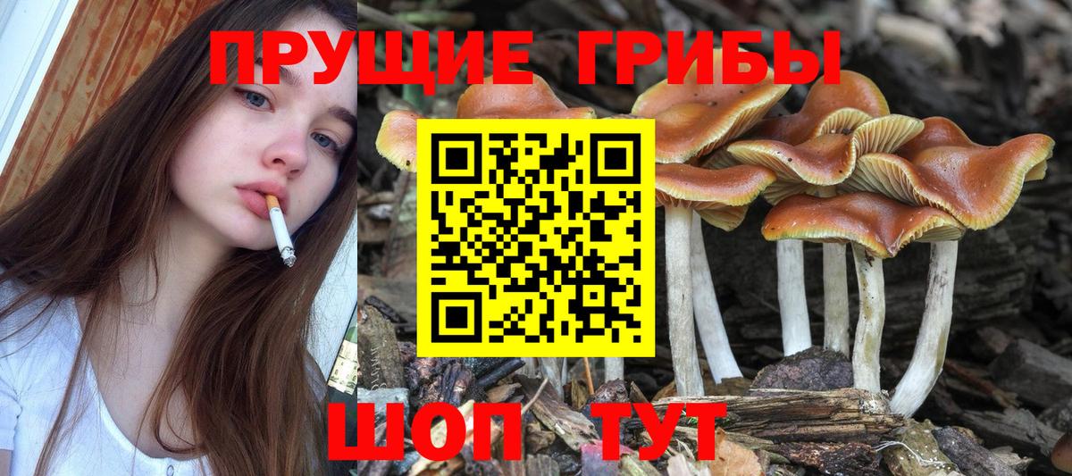 Галлюциногенные грибы Magic Shrooms Белорецк