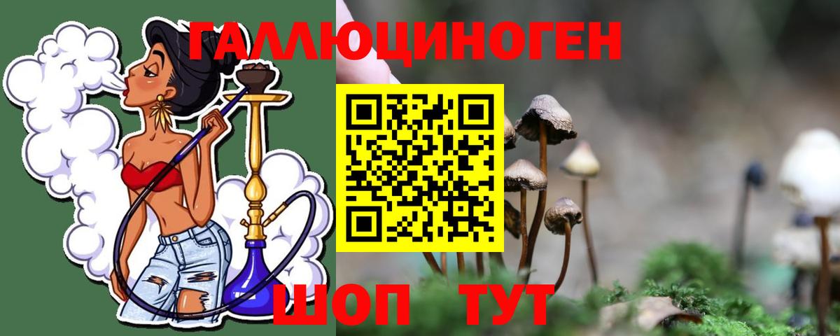 Псилоцибиновые грибы Psilocybe  Галлюциногенные грибы мицелий  Белорецк  Вход с VPN 